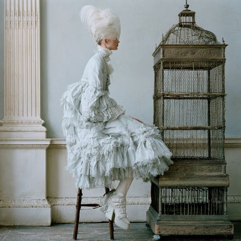 Tim Walker style (Photographers), Midjourney V8.2