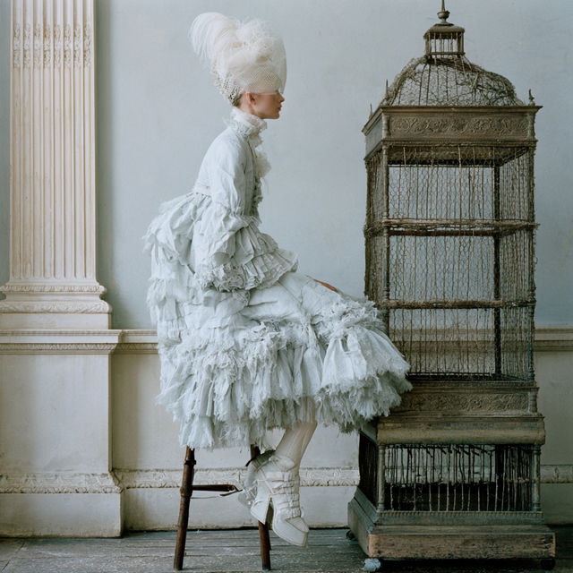 Tim Walker style, Midjourney V8.2, render 1 of 4
