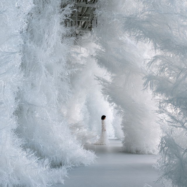 Tokujin Yoshioka style, Midjourney V8.2, render 4 of 4
