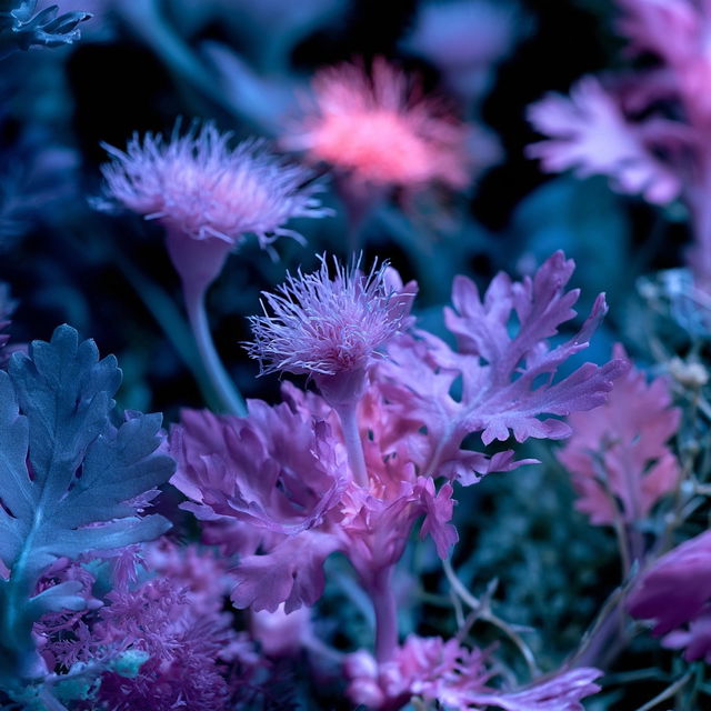 Ultraviolet photography style, Midjourney V8.2, render 2 of 4