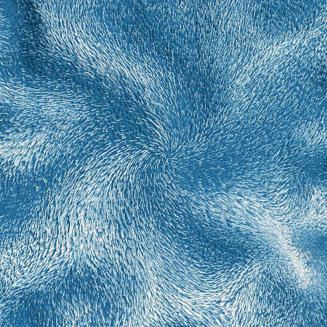Vector field style, Midjourney V8.2, render 2 of 4
