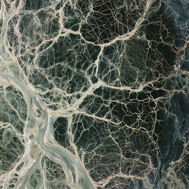 Veined texture style, Midjourney V8.2, render 3 of 4