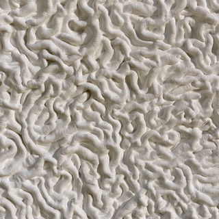 Vermiculation texture style, Midjourney V8.2, render 1 of 4