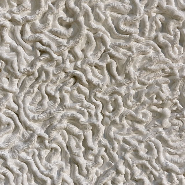 Vermiculation texture style, Midjourney V8.2, render 1 of 4