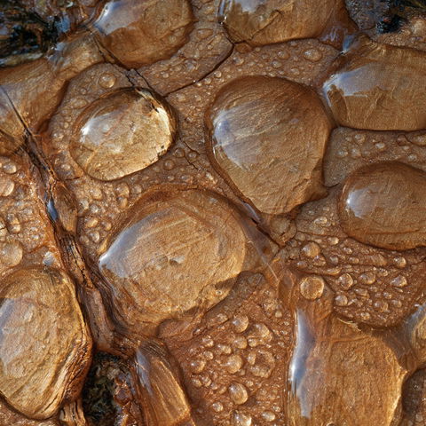 Wet texture style (Modifiers), Midjourney V8.2