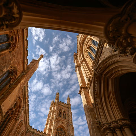 Wide angle lens style (Techniques), Midjourney V8.2