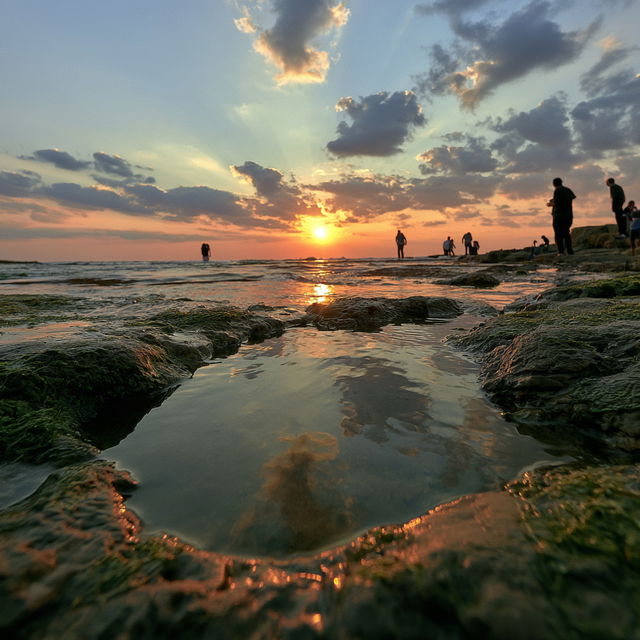 Wide angle lens style, Midjourney V8.2, render 3 of 4