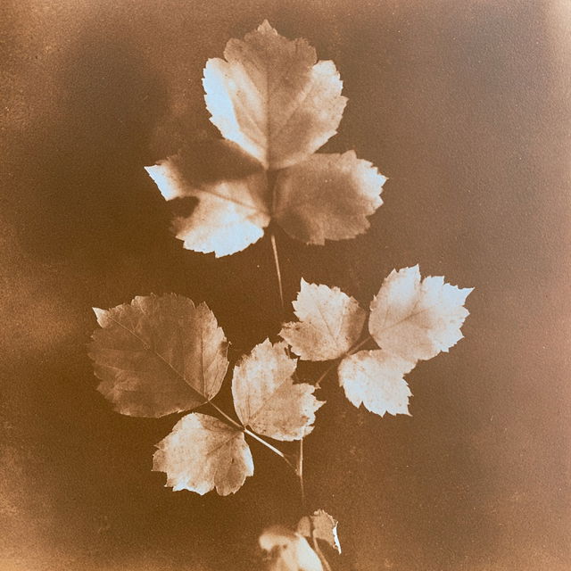 William Henry Fox Talbot style, Midjourney V8.2, render 2 of 4
