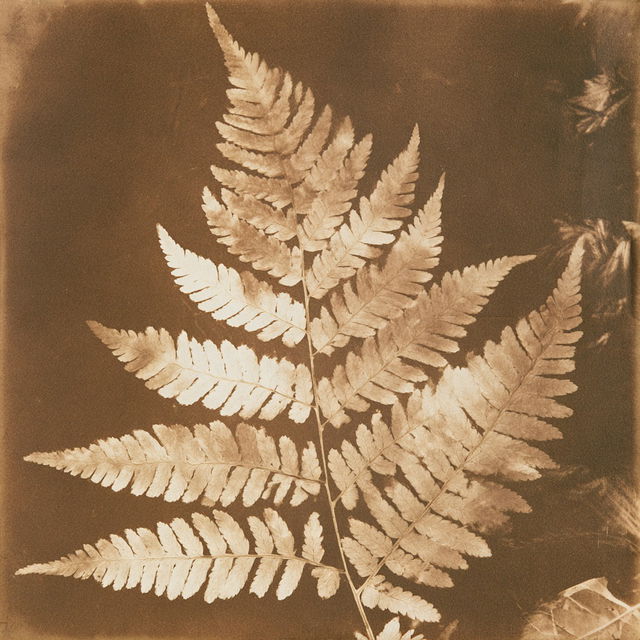 William Henry Fox Talbot style, Midjourney V8.2, render 1 of 4