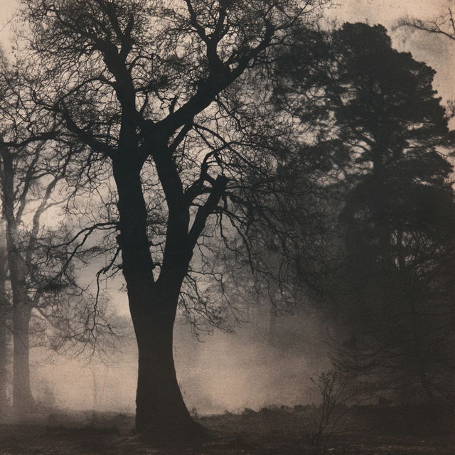 William Henry Fox Talbot style, Midjourney V8.2, render 4 of 4