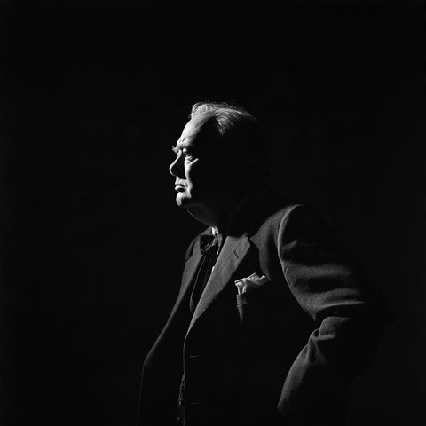 Yousuf Karsh style (Photographers), Midjourney V8.2