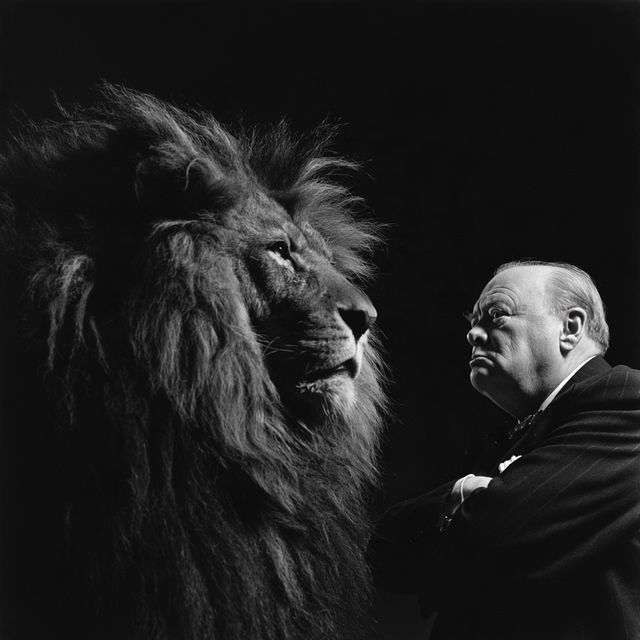 Yousuf Karsh style, Midjourney V8.2, render 3 of 4